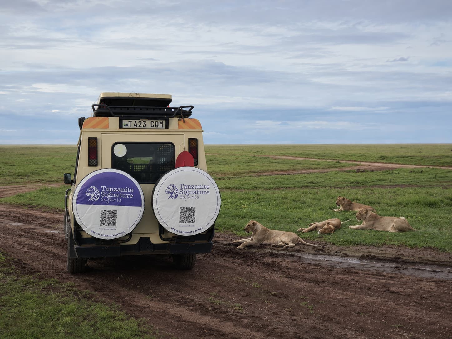 Safari Vehicle with Lions in the Savannah