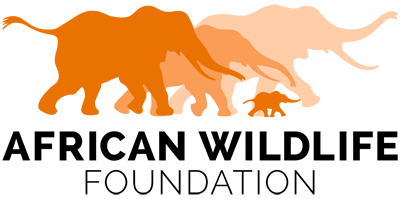 African Wildlife Foundation