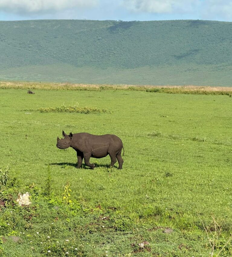 Ngorongoro Crater