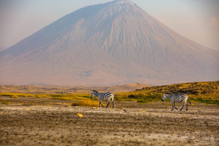3 Days-Wonderful Adventure Safari