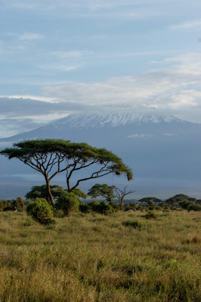 Kilimanjaro
