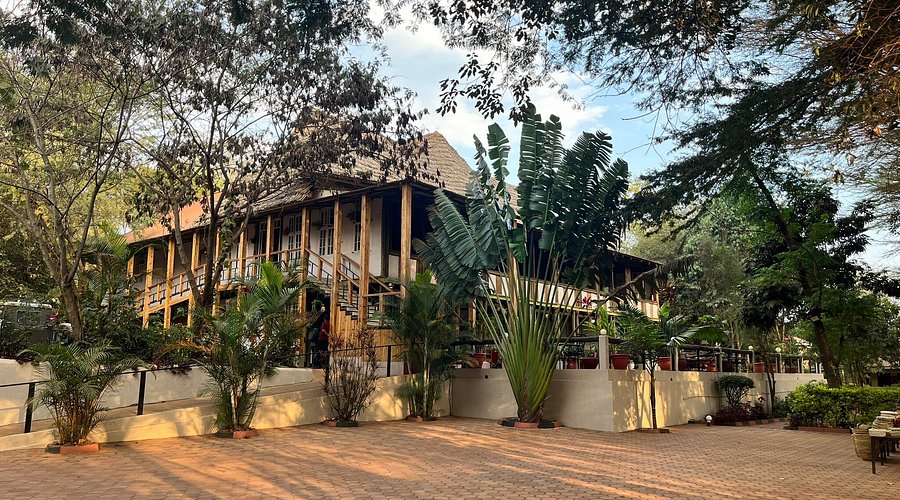 Eileen’s Trees Inn Lodge