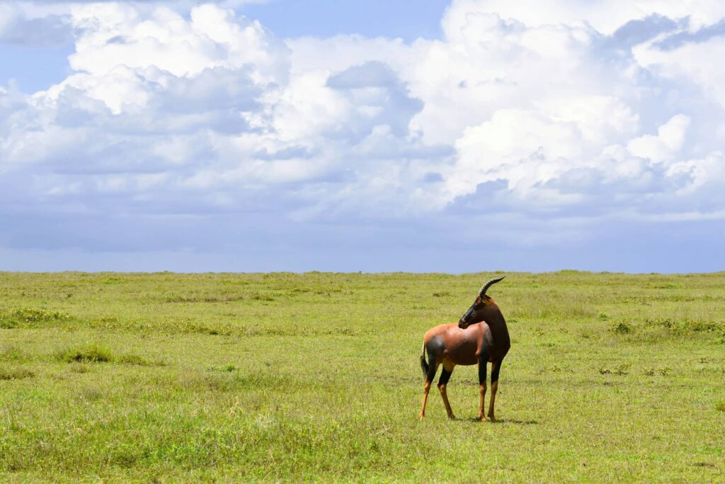 Serengeti National Park