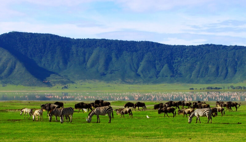 Ngorongoro Crater (40min from karatu)