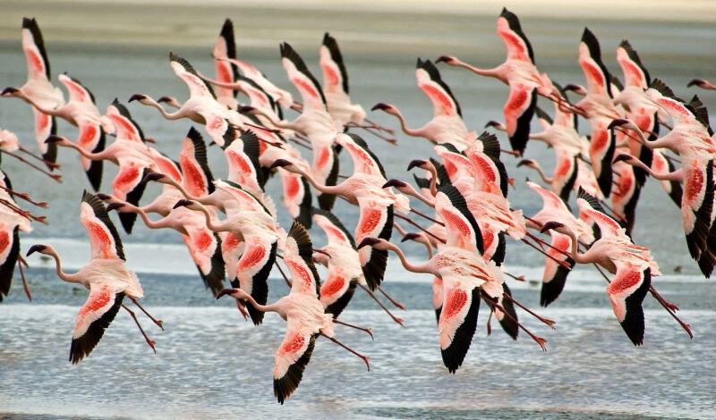 Ngorongoro Crater - Airport (3hrs)