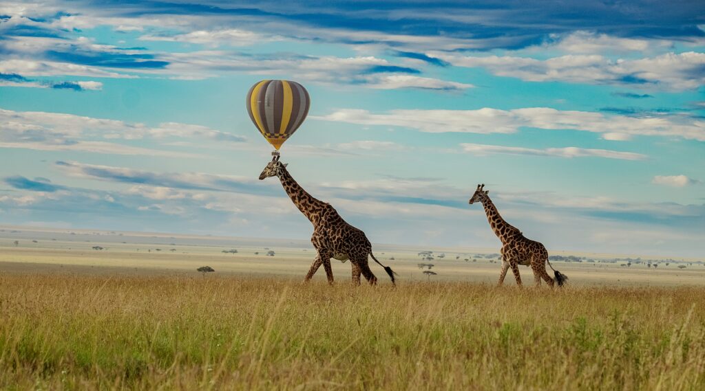 Airport/Arusha - Serengeti National Park (5hrs)