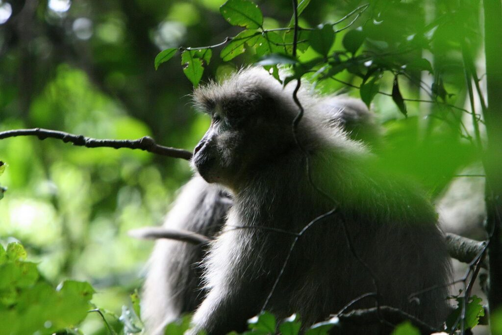 Hiking at Galapagos of Africa