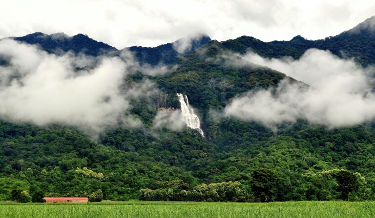 3 Days Safari and Hiking Experience